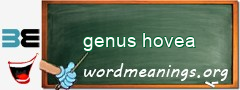 WordMeaning blackboard for genus hovea